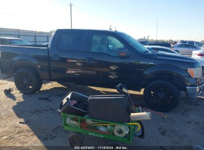 Lot #3035082998 2013 FORD F-150 XLT