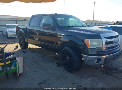 Lot #3035082998 2013 FORD F-150 XLT