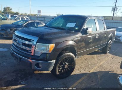 Lot #3035082998 2013 FORD F-150 XLT