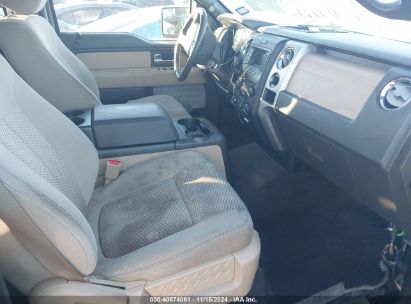 Lot #3035082998 2013 FORD F-150 XLT