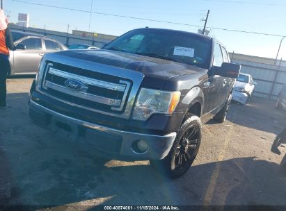 Lot #3035082998 2013 FORD F-150 XLT