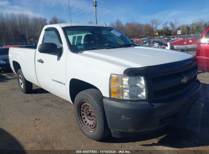 Lot #2990345868 2008 CHEVROLET SILVERADO 1500 WORK TRUCK