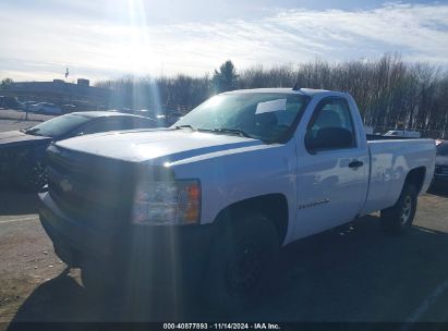 Lot #2990345868 2008 CHEVROLET SILVERADO 1500 WORK TRUCK