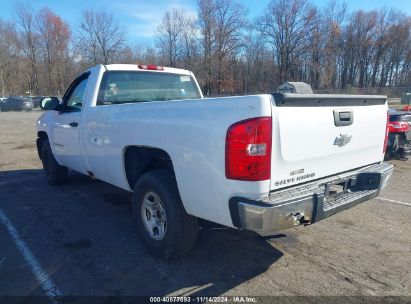 Lot #2990345868 2008 CHEVROLET SILVERADO 1500 WORK TRUCK