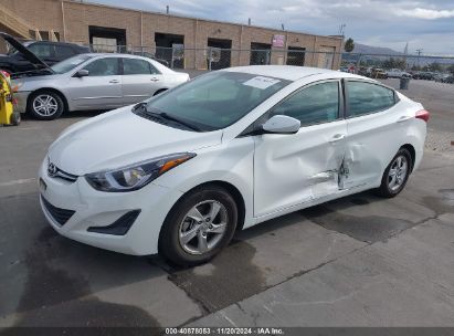 Lot #3049253795 2014 HYUNDAI ELANTRA SE