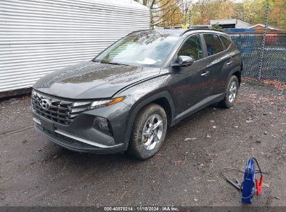 Lot #2990345865 2023 HYUNDAI TUCSON SEL