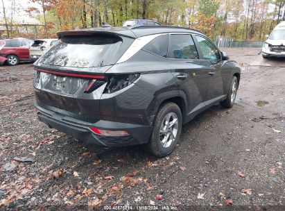 Lot #2990345865 2023 HYUNDAI TUCSON SEL