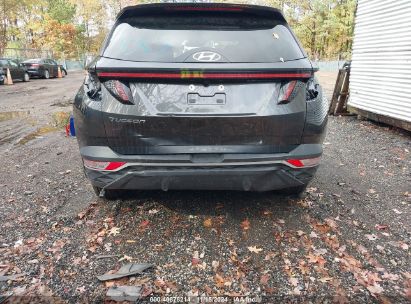 Lot #2990345865 2023 HYUNDAI TUCSON SEL