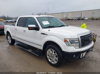 Lot #2992834487 2013 FORD F-150 PLATINUM