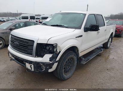 Lot #2992834487 2013 FORD F-150 PLATINUM