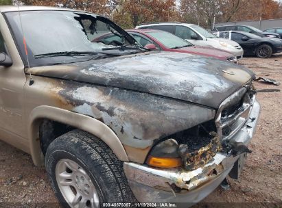 Lot #3035082826 2002 DODGE DAKOTA SLT