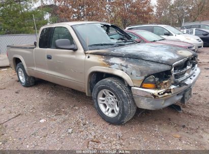 Lot #3035082826 2002 DODGE DAKOTA SLT