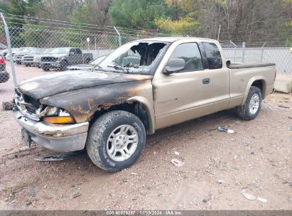 Lot #3035082826 2002 DODGE DAKOTA SLT