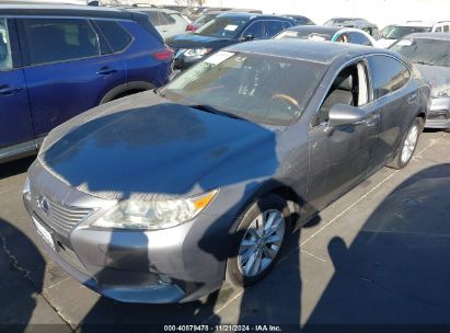 Lot #3006593739 2013 LEXUS ES 300H