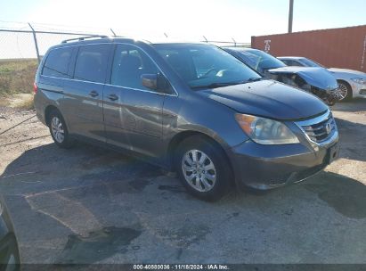 Lot #2997780023 2010 HONDA ODYSSEY EX