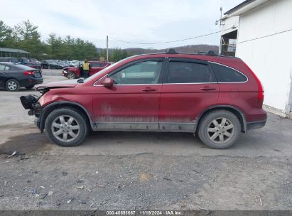 Lot #3035071165 2008 HONDA CR-V EX-L