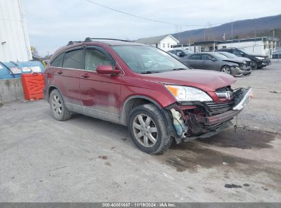 Lot #3035071165 2008 HONDA CR-V EX-L