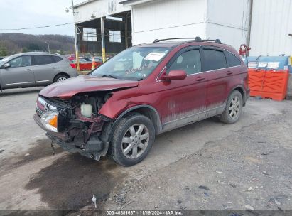 Lot #3035071165 2008 HONDA CR-V EX-L