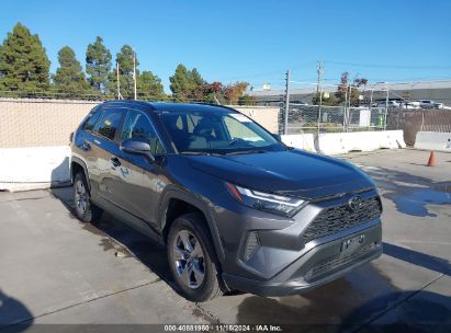 Lot #2995290694 2023 TOYOTA RAV4 XLE