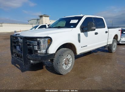 Lot #2992828639 2019 FORD F-250 XLT