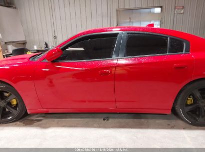 Lot #3049253621 2016 DODGE CHARGER R/T