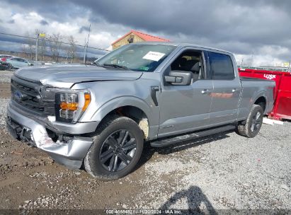 Lot #3035070711 2023 FORD F-150 XLT