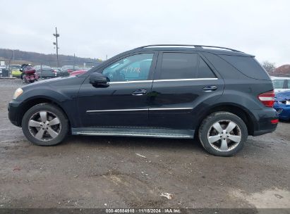 Lot #3005344208 2011 MERCEDES-BENZ ML 350 4MATIC