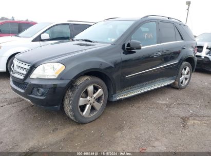 Lot #3005344208 2011 MERCEDES-BENZ ML 350 4MATIC