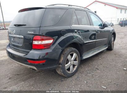 Lot #3005344208 2011 MERCEDES-BENZ ML 350 4MATIC