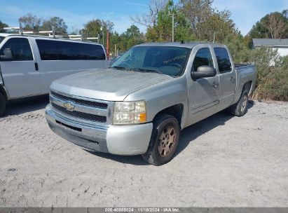 Lot #2992834328 2010 CHEVROLET SILVERADO 1500 LT