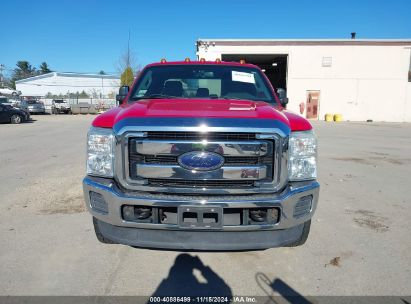 Lot #3005343990 2016 FORD F-250 XLT