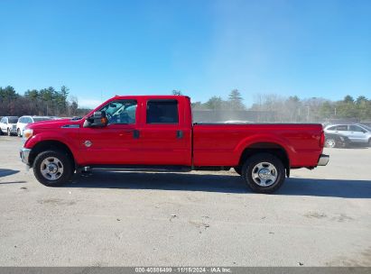 Lot #3005343990 2016 FORD F-250 XLT