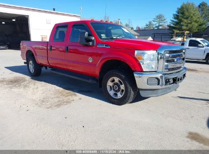 Lot #3005343990 2016 FORD F-250 XLT