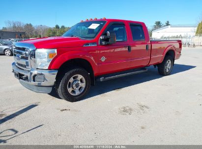 Lot #3005343990 2016 FORD F-250 XLT