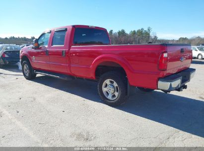 Lot #3005343990 2016 FORD F-250 XLT