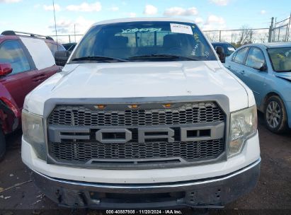 Lot #3052471971 2009 FORD F-150 XLT