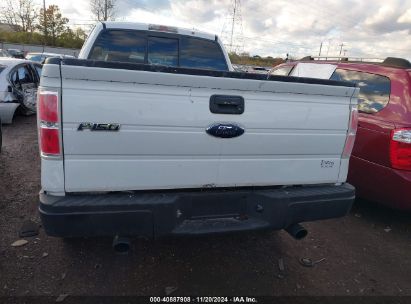 Lot #3052471971 2009 FORD F-150 XLT