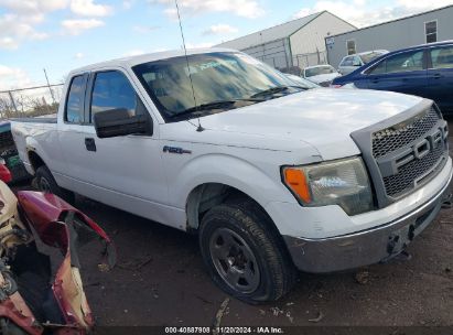 Lot #3052471971 2009 FORD F-150 XLT