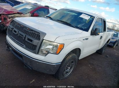 Lot #3052471971 2009 FORD F-150 XLT