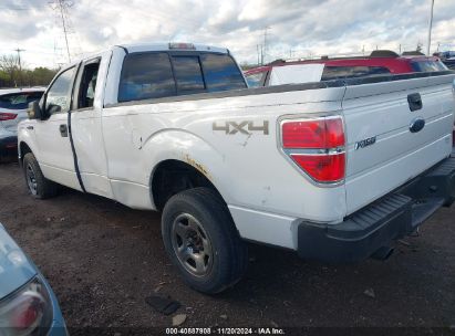 Lot #3052471971 2009 FORD F-150 XLT