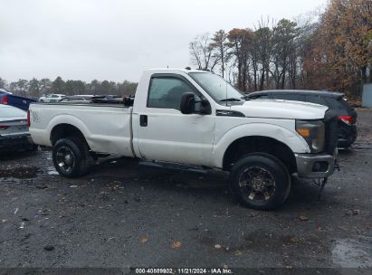 Lot #2995293653 2015 FORD F-250 XL