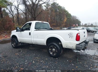 Lot #2995293653 2015 FORD F-250 XL