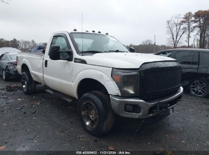 Lot #2995293653 2015 FORD F-250 XL