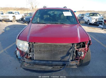 Lot #3053062925 2009 FORD ESCAPE XLT