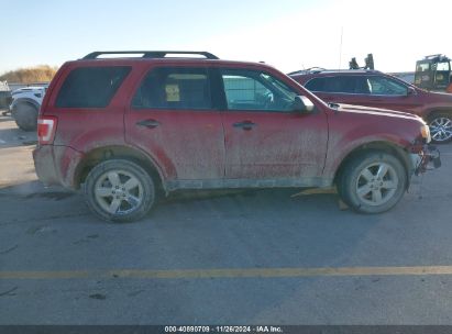 Lot #3053062925 2009 FORD ESCAPE XLT