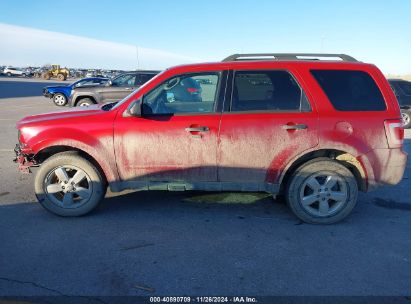 Lot #3053062925 2009 FORD ESCAPE XLT