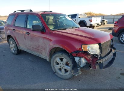 Lot #3053062925 2009 FORD ESCAPE XLT