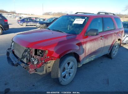 Lot #3053062925 2009 FORD ESCAPE XLT