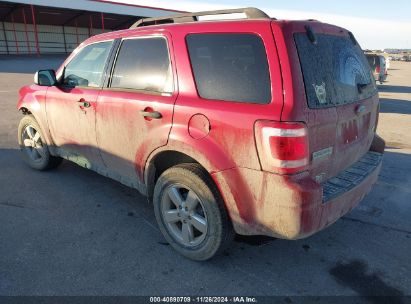 Lot #3053062925 2009 FORD ESCAPE XLT