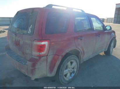 Lot #3053062925 2009 FORD ESCAPE XLT